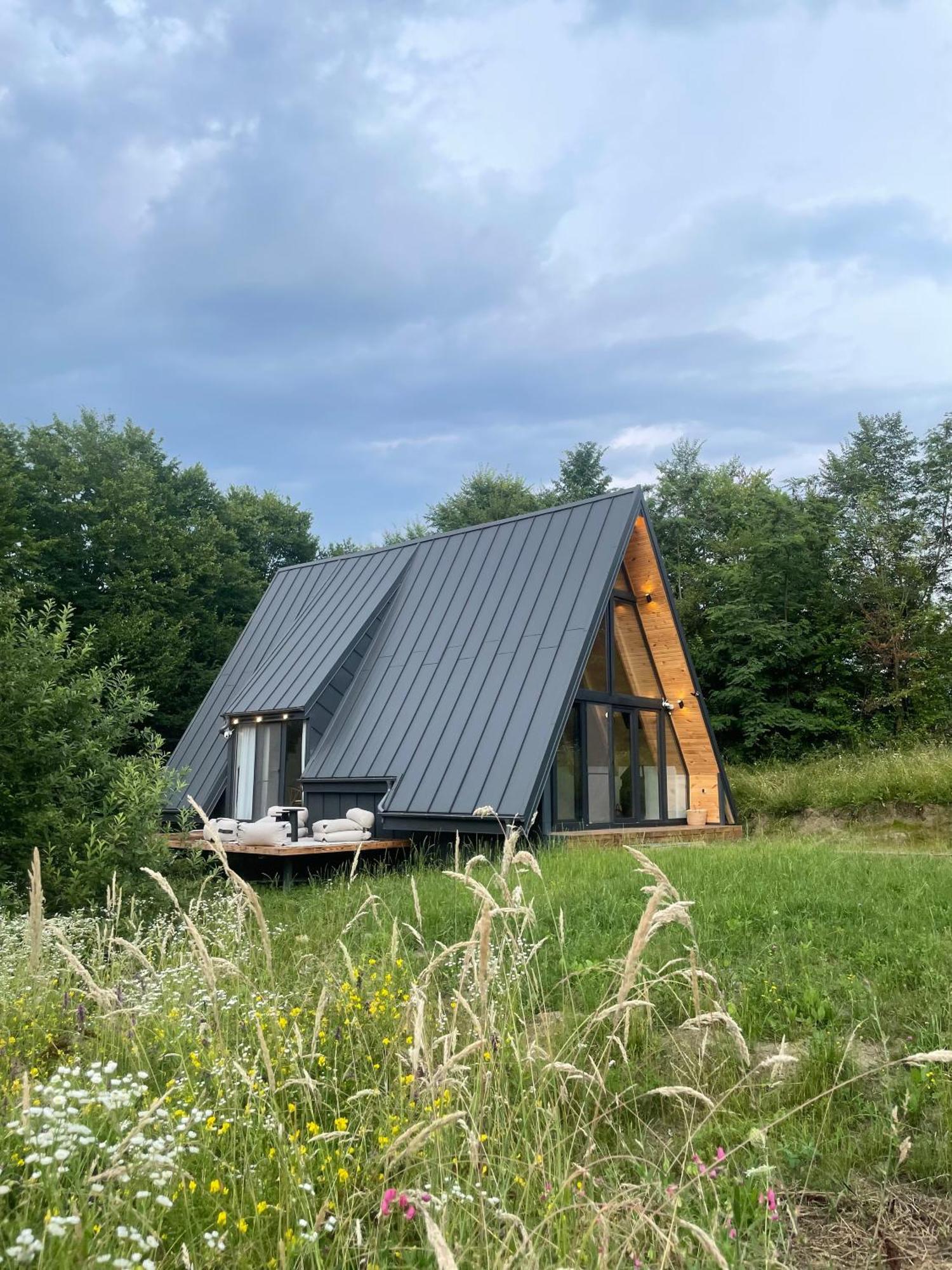 Cabana A-Frame Cricov 9 Valea Lunga-Ogrea Exterior photo